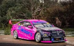 Biante 1/18 Holden ZB Commodore BJR #14 Fullwood 'Merlin Darwin Triple Crown' image