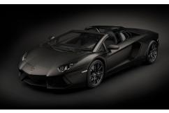Pocher 1/8 Lamborghini Aventador Roadster Nero Nemesis Kitset image