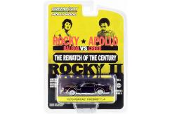 Greenlight 1/64 1979 Pontiac Firebird Trans Am - Rocky II image